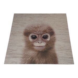 Adorable Monkey print on plywood 12 x 12 sold individually
